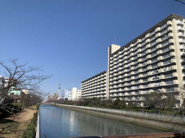 シティコープ千石外観３｜シティコープ千石は昭和５６年築の14階建て、総戸数２００戸の大規模マンションです。大横川に面した閑静な住宅街にあります。