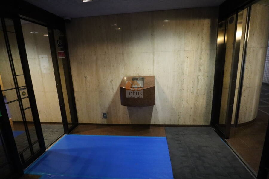 グランドメゾン一番町共用部3｜エントランスはオートロックになっています。落ち着いた雰囲気といった印象をうけました。