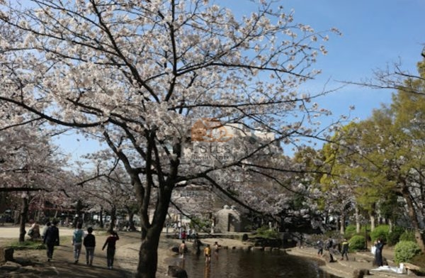 東小松川公園｜徒歩1分に「東小松川公園」があります。