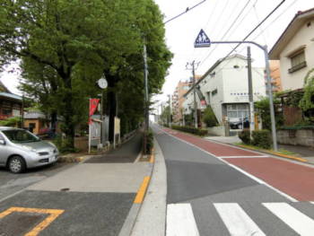 こちらが八幡坂です。ご覧の通り緑の包まれた神社で、地域を印象付けるロケーションです。物件はこの坂を上りきる一歩手前です。