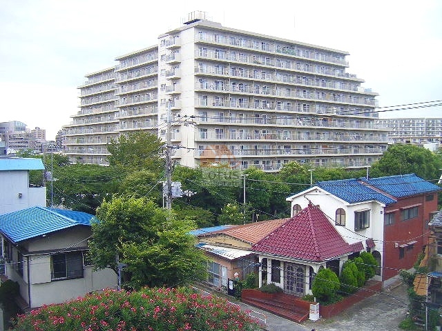 総戸数235戸のビッグコミュニティらしいスケール感があります。手前には住宅地が広がり、奥に大きく伸びる住棟が見渡せる構図です。建物の周囲にしっかりとした樹木があり、五反野駅徒歩11分とは思えない落ち着きを感じます。五反野スカイハイツは、昭和51年築、11階建てのマンションです。