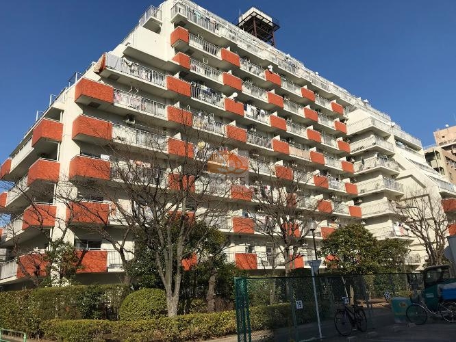 トーカンマンション大島Ｃ棟外観１｜C棟は12階建てです。