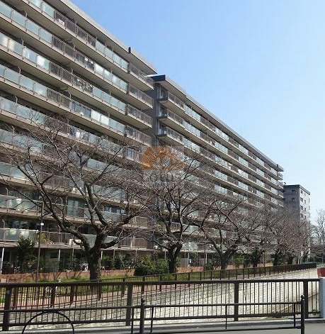 上石神井ハイム３号棟外観１｜上石神井ハイムは１号棟、２号棟、３号棟、４号棟からなる大規模マンションです。敷地内に駐車場があります。