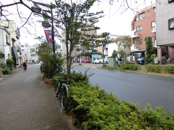 高円寺南3｜整備された並木道を進みます。