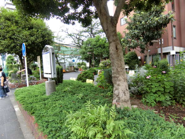 東陽町ガーデニアアプローチ10｜道路を渡ると、南砂緑道公園の入り口があります。ここからは東陽町駅方面に近道できます。キレイに整備されていて、自転車と歩行者が分かれていて安心できます。桜や新緑の季節にはお散歩でも楽しめます。