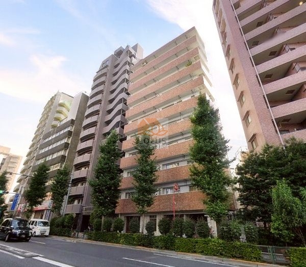 ハイツ目白外観２｜ハイツ目白は昭和52年築、10階建のマンションです。