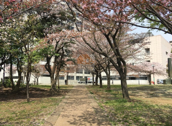 足立区立中央公園｜エントランス前には「足立区立中央公園」があります。