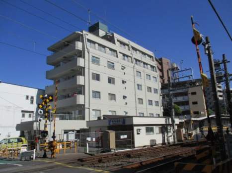 グリーンキャピタル亀戸水神外観１｜グリーンキャピタル亀戸水神は昭和５５年築、７階建てのマンションです。