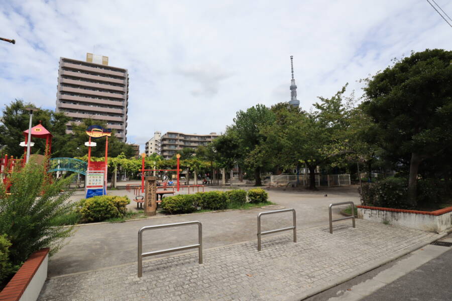 若宮公園｜「若宮公園」です。