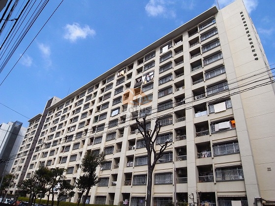 牡丹町住宅外観２｜牡丹町住宅は昭和47年築、大きくてしっかりとした構造を持つ11階建ての建物です。