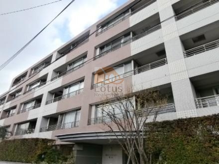 藤和シティホームズ初台外観２｜藤和シティホームズ初台は、区立本町学園前にある、6階建てのマンションです。