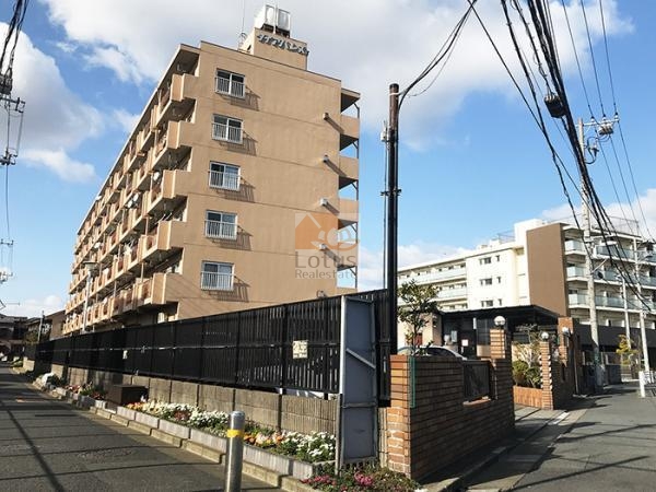 ダイアパレス金町の外観。ベージュ系の落ち着いた外壁とシンプルな形状が特徴の6階建てマンションです。道路沿いの植栽が整備され、外構の手入れも行き届いています。ダイアパレス金町は昭和５５年築、６階建てのマンションです。