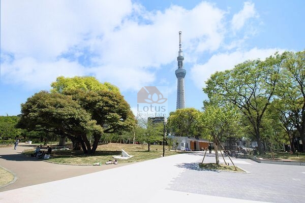 隅田公園