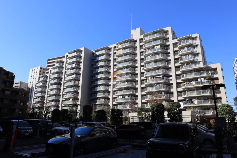 コンテ西葛西外観｜コンテ西葛西は、昭和55年築、12階建てのマンションです。