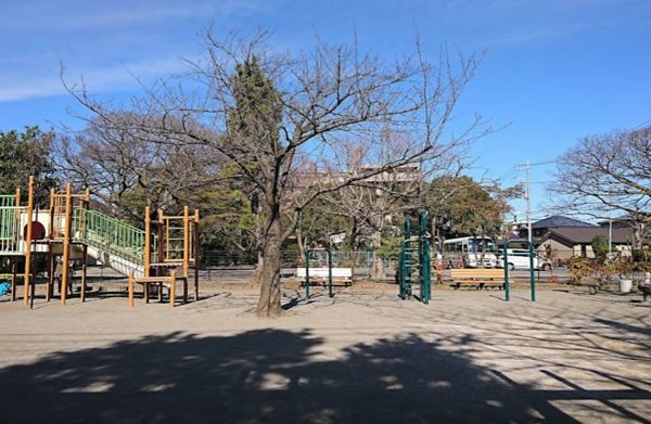 大杉公園｜南側には「大杉公園」があります。