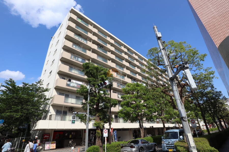 曳舟西ビューハイツ外観1｜曳舟西ビューハイツは昭和55年に築かれた11階建てのマンションです。