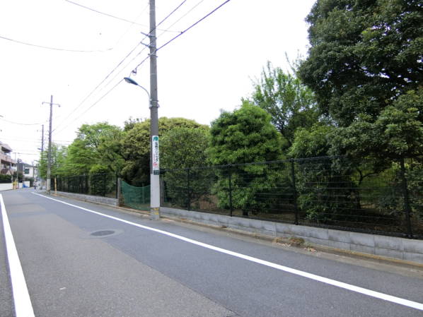 広い緑地も残っています。スポットで緑を感じることもできます。