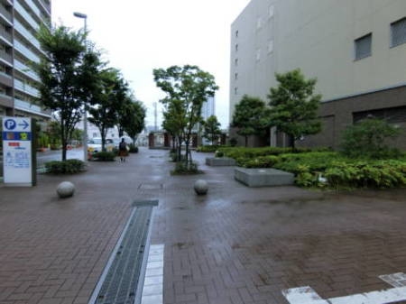 スポーツクラブから北側の道路の様子です。総合開発なので敷地の雰囲気は整えられています。