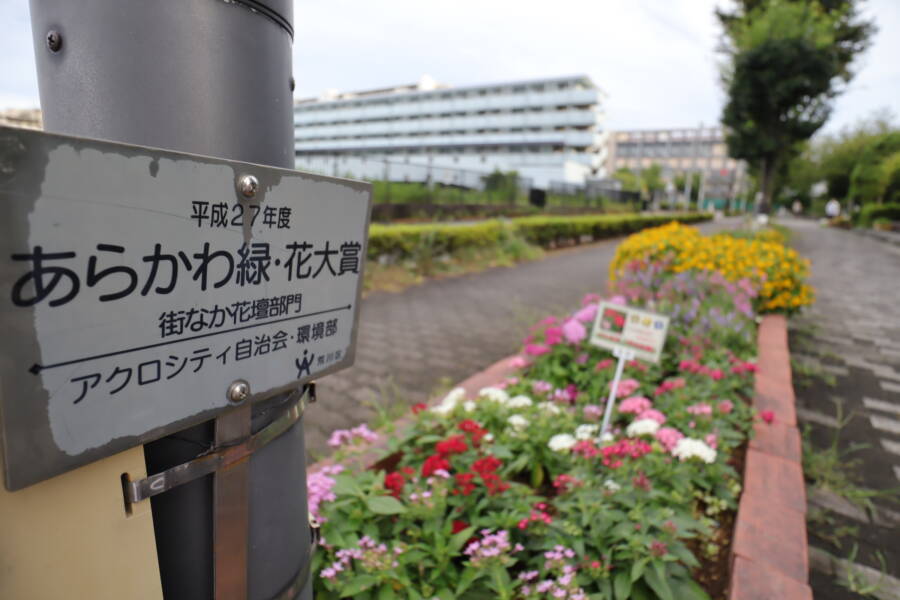 アクロシティ東側歩道｜アクロシティでは、公開空地の花壇を整備しています。平成27年度の「あらかわ緑・花大賞・街なか花壇部門」として受賞しているそうです。非常に意識の高い活動をされている様子がうかがえます。