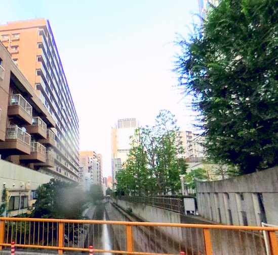 朝日広尾マンション裏の川｜明治通りの反対側、南側には川が流れています。