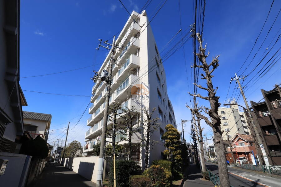 アイビハイツ柴又外観1｜アイビハイツ柴又は昭和55年築、7階建てのマンションです。