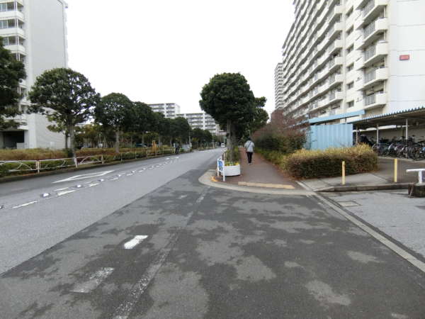 清新南ハイツアプローチ18｜団地内部の「さざなみ公園」と「江戸川区 清新町コミュニティ会館」に挟まれた道路で、会館の横を過ぎていきます。