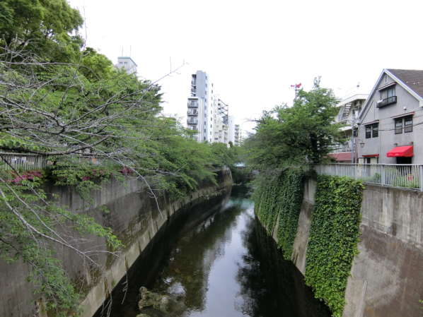 ハイツ面影橋アプローチ24｜面影橋から撮影した神田川の様子。オリジン電気跡地の付近は春は桜並木がきれいです。