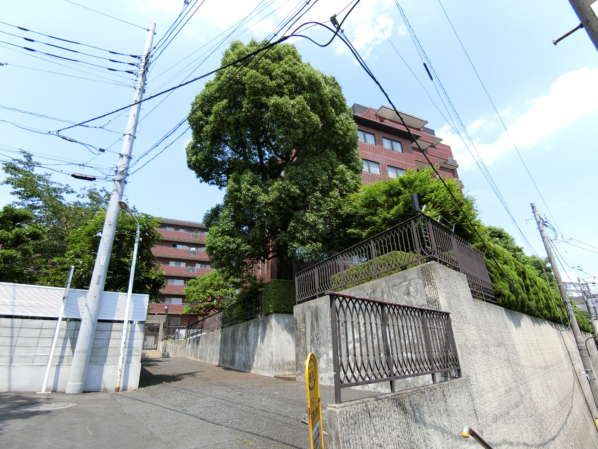 目白ガーデンハイツ外観共用部11｜南向きの高台ですので日当たりも良好です。