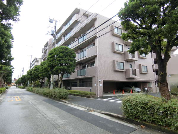 シーアイマンション新小岩親水公園外観共用部7｜およそ７５ｍほど、少しだけ並木道を進みます。南方面に進みます。