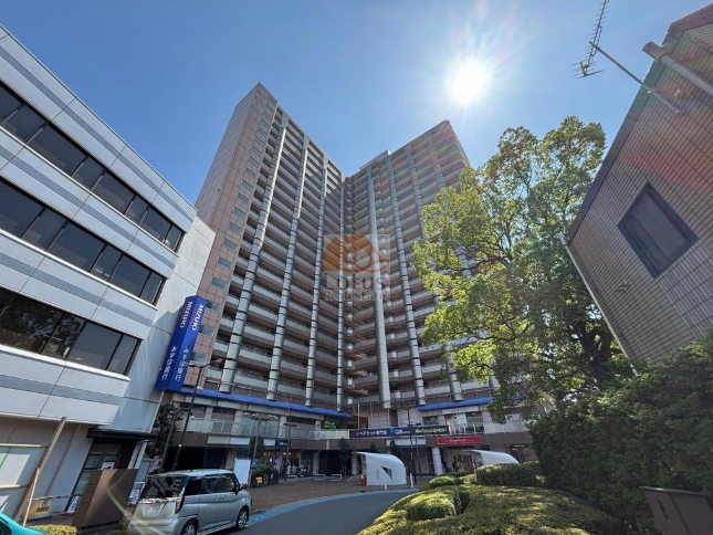 駅前ロータリーと地上21階の縦のラインが交わり、平井駅南口直結の高層タワーレジデンスとしての存在感がそのまま写っています。1階の商業店舗が街と建物をつなぎ、陽光がファサードに反射して開放的な印象を与える外観です。ビューネタワー平井は、平成12年築、21階建てのマンションです。