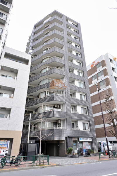 クオス目白ラ・プルーム外観１｜クオス目白ラ・プルームは、平成17年築、12階建てのマンションです。