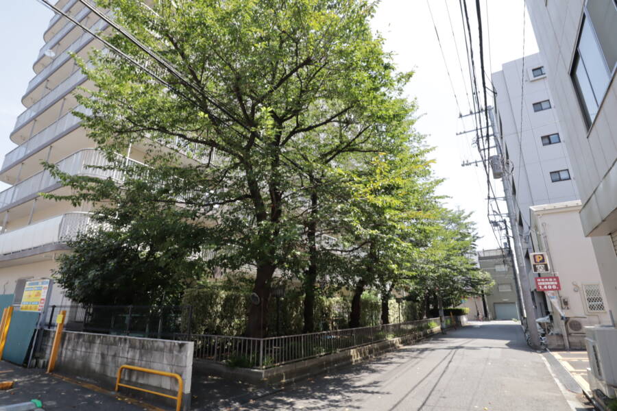 エムエフ両国共用部4｜2021年の夏の撮影です。セミの鳴き声の合唱が響き渡っていました。