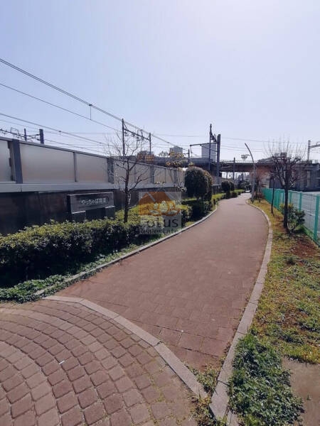 やっちゃば緑道｜東側の駐車場を挟んで高架線線と並行してる「やっちゃば緑道」を通って北千住駅まで歩けます。