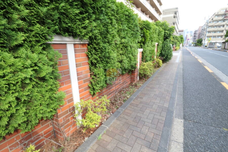 デュークコート小岩共用部5｜デュークコート小岩マンションの共用部5：植栽が立派で、明るい雰囲気が感じられます。