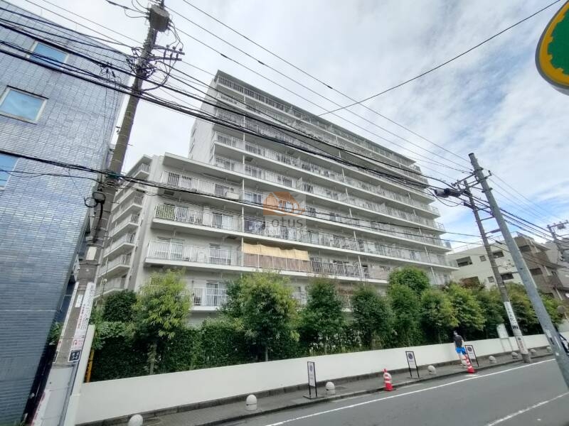 目白ガーデニア外観1｜現状、建物の南向きは太い道路を挟んでコインパーキングがあります。コインパーキングはマンション開発などの可能性を否定できませんが、３種高度なので、日当たりは確保されると思います。