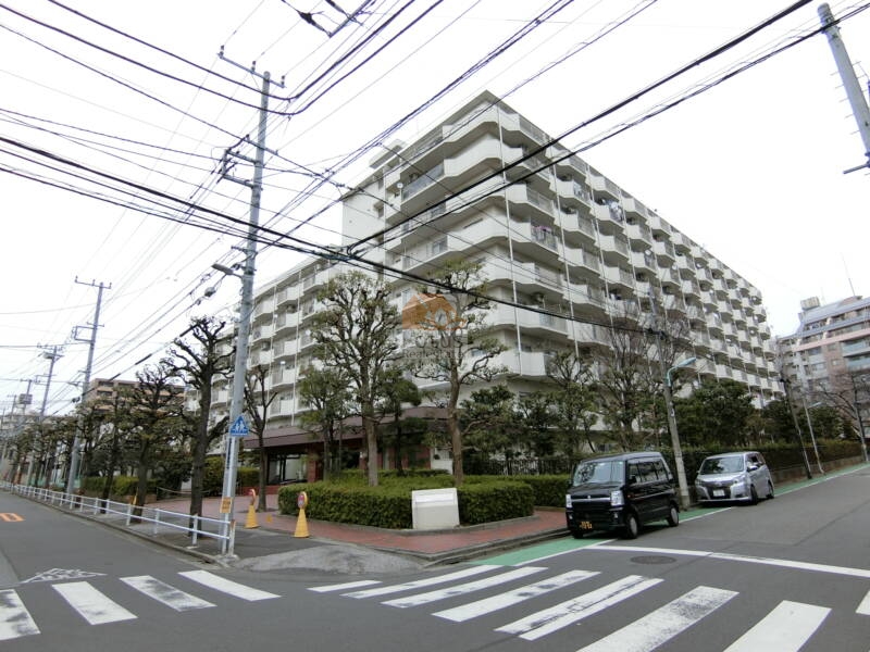 白鳥スカイマンション外観 (2)｜白鳥スカイマンションは昭和56年築、9階建てのマンションです。