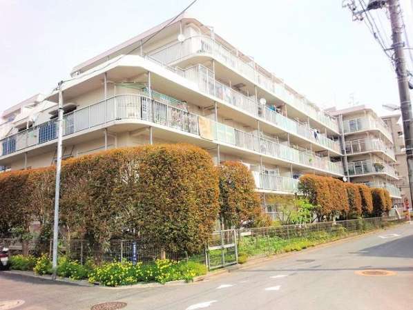 ソフトタウン亀有は、角地に建つ5階建ての外観で、敷地周囲には植え込みや街路樹があり、住宅街らしい落ち着いた雰囲気です。ソフトタウン亀有は、昭和57年築、5階建てのマンションです。