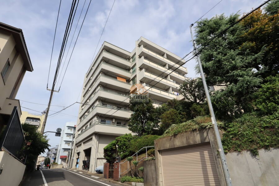 豊玉マンション外観1｜お部屋は南北の振り分けです。写真は南側からのものです。低層住宅地に面しています。