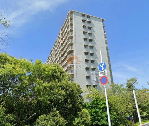 ボナハイツ中川3号棟外観１｜中川至近で風通しがよく敷地内は緑が多くのどかな住環境です。
