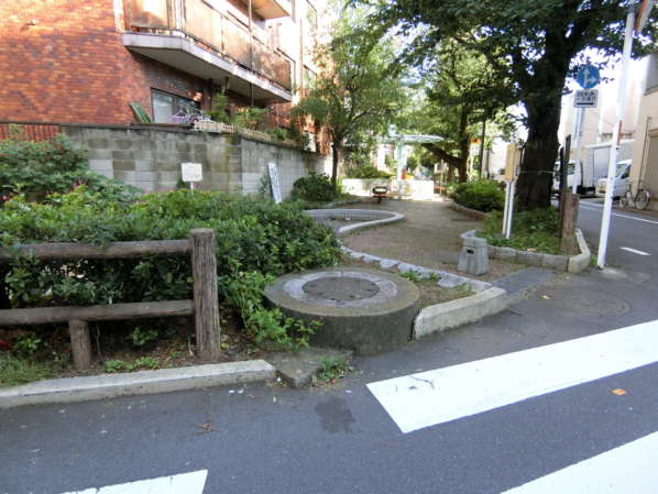 キャッスルマンション千早町アプローチ2｜緑道のビオトープを見つけたらすぐ右折です。