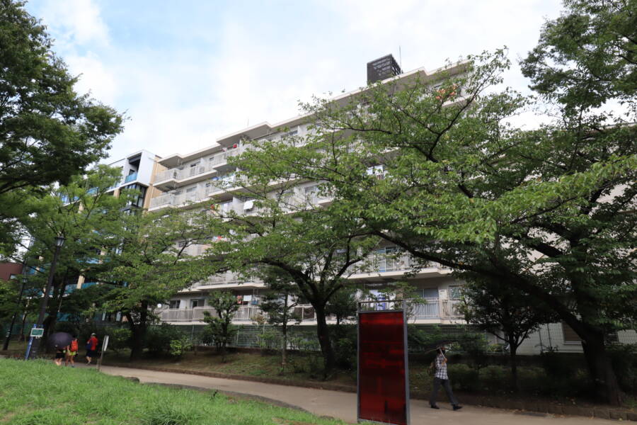 錦糸町ガーデニア外観2｜西側は大横川親水公園に面した立地です。