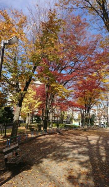 竹の塚第七公園｜徒歩1分に「竹の塚第七公園」があります。建物の南側にある公園です。