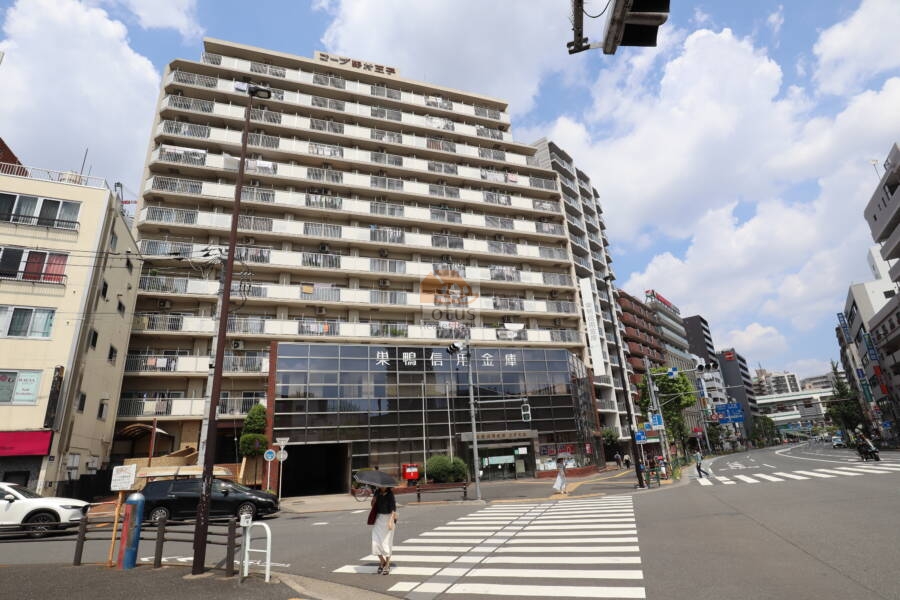 コープ野村王子外観1｜コープ野村王子は昭和59年築、13階建てのマンションです。