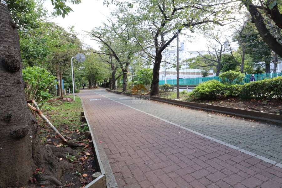 南砂緑道公園1