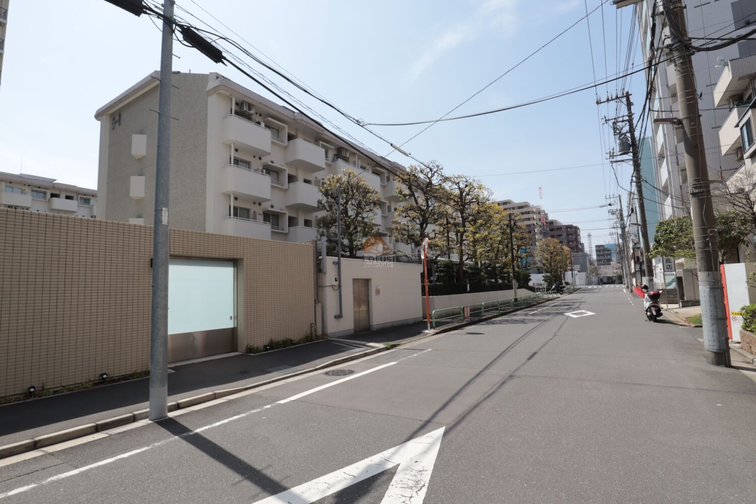 エステート猿江マンションの北側外観を見上げています。タイル貼りの外周壁と金属扉、その奥に白い低中層棟と連続するバルコニーが並び、前面は電柱と配線が走る生活道路に面しています。エステート猿江は昭和57年築、5階建てのマンションです。