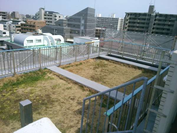 クイーンシティ葛西ベイスイート屋上スペース｜北側の配棟の屋上が共用の憩いの場になっています。
