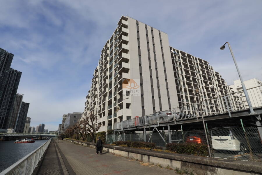 ルネプライディア外観2｜南西側は豊洲運河に面しています。