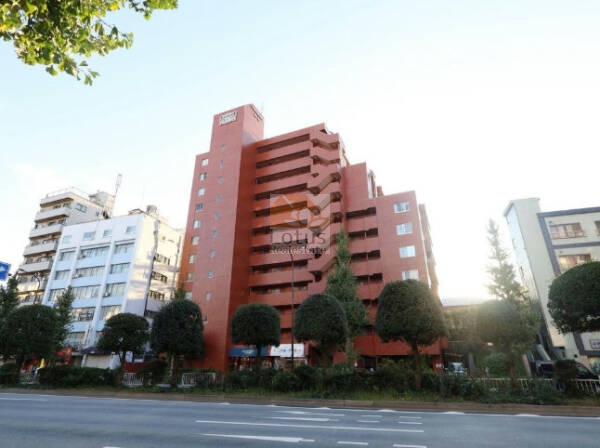 ライオンズマンション白山外観５｜ライオンズマンション白山は、昭和54年築、12階建てのマンションです。