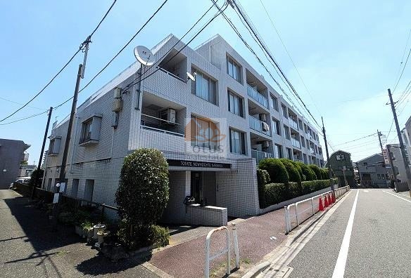 白タイルの外壁と低層フォルムが印象的で、周囲の住宅街に穏やかに馴染む佇まいです。通りからの距離感があり、落ち着いた暮らしを想像しやすい外観といえます。