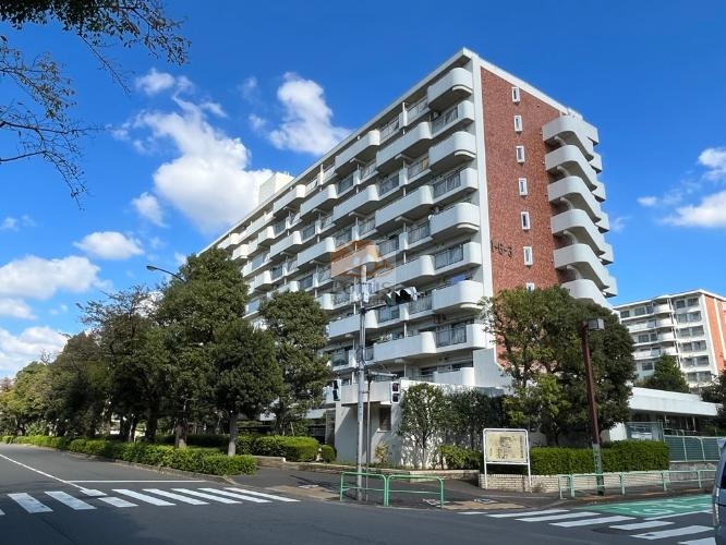 白を基調とした外壁にレンガ色のタイルがアクセントになった外観です。光が丘公園沿いの緑と一体になった穏やかな印象を与えます。青空の下で街路樹が風に揺れ、光が丘らしい開放的な雰囲気が感じられます。